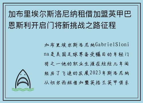 加布里埃尔斯洛尼纳租借加盟英甲巴恩斯利开启门将新挑战之路征程